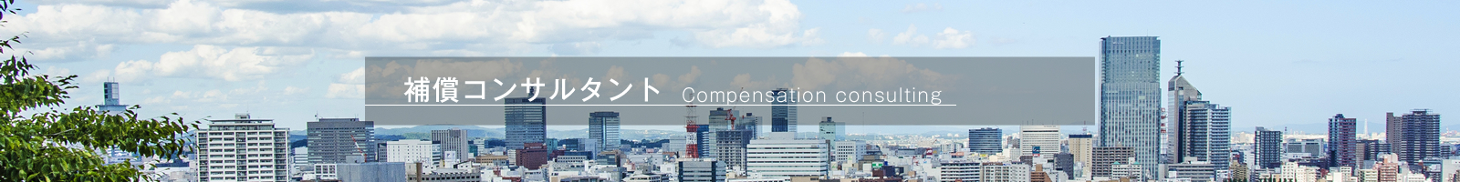 compensation-consulting